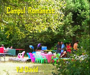 campul romanesc parcul arc